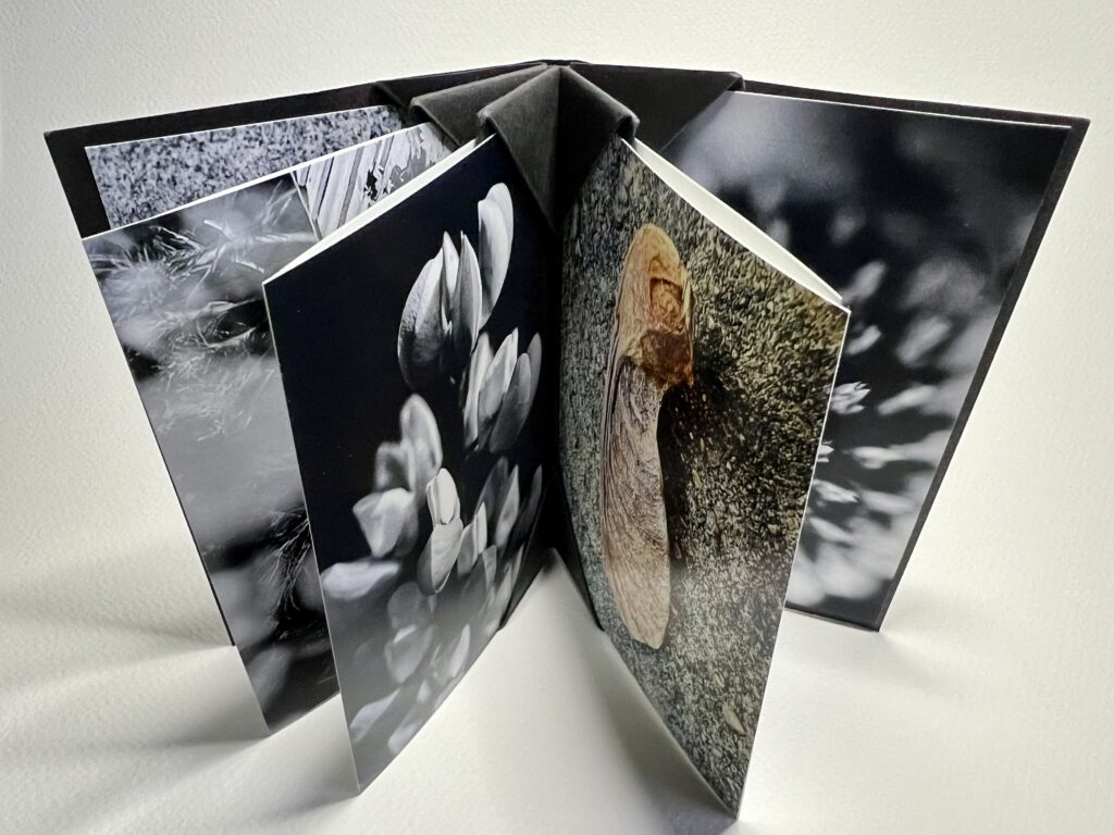 This image has an empty alt attribute; its file name is IMG_1941-1024x768.jpeg