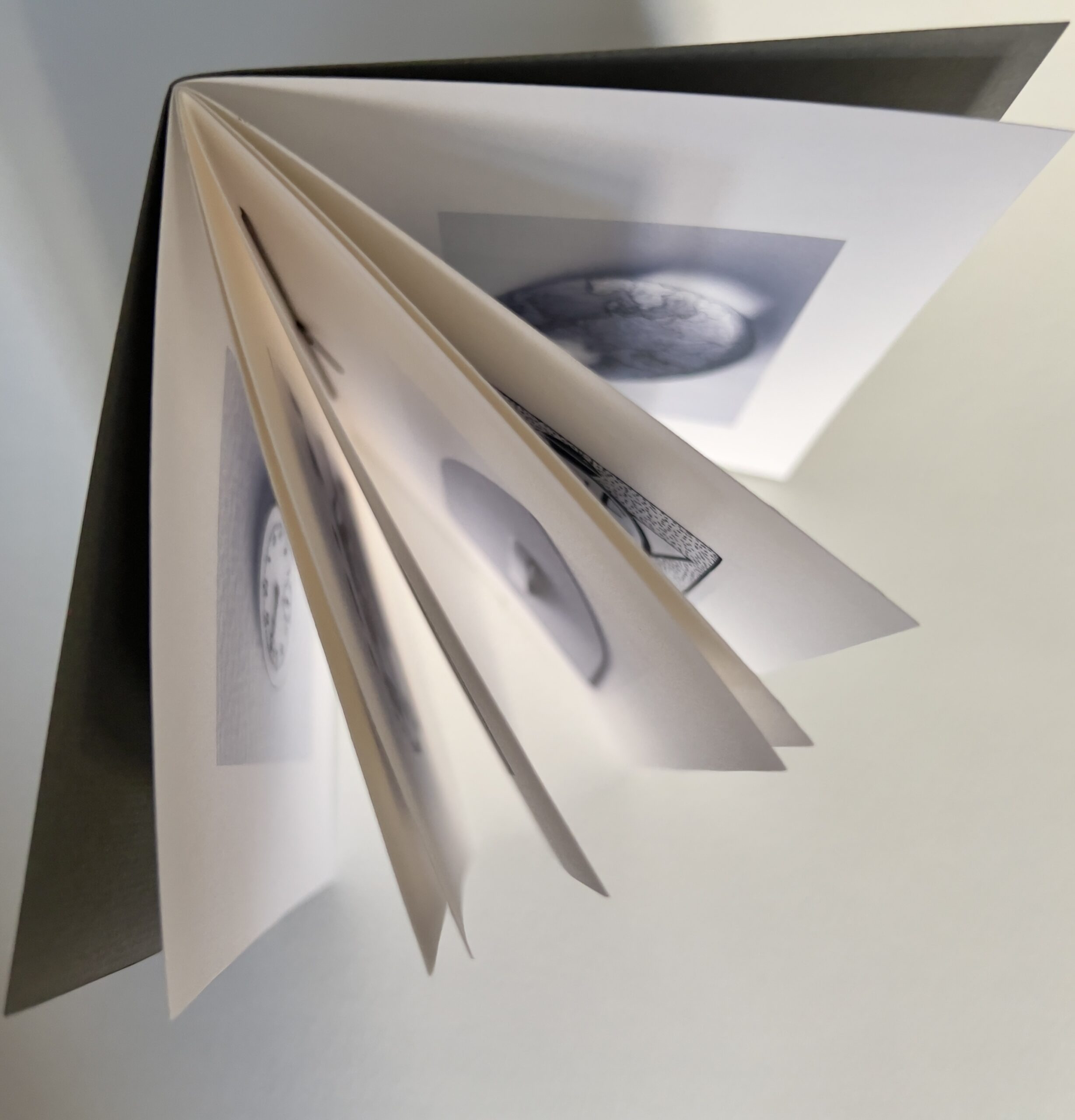 This image has an empty alt attribute; its file name is IMG_2466-scaled.jpeg