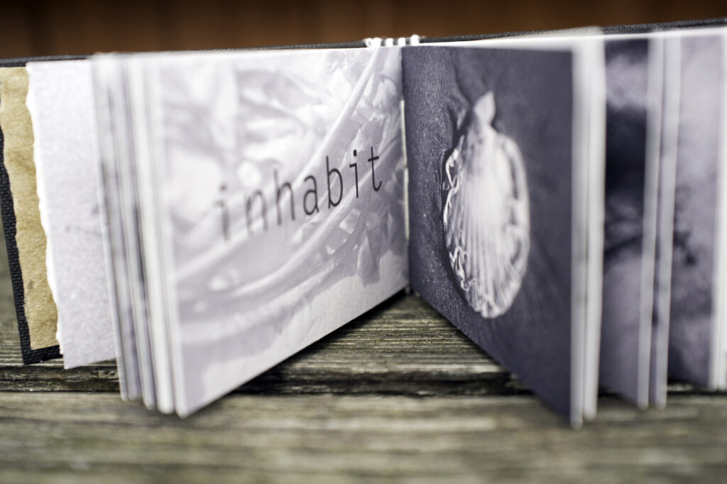 This image has an empty alt attribute; its file name is L_Connolly07-1024x682.jpg